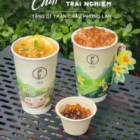 Ly giấy in offset - Ảnh 28