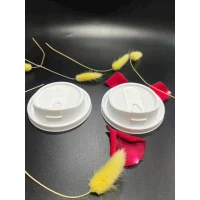 Nắp Gài Nhập Khẩu Phi 90 Cứng Cáp Soang Choãnh